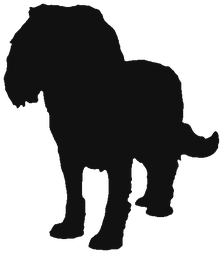 Silhouette of Maisy